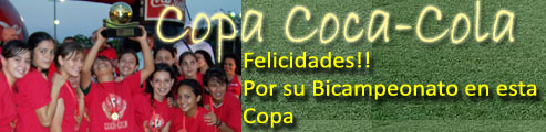 Copa Coca-Cola